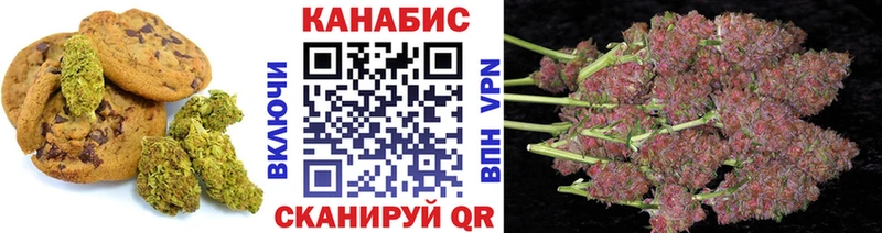 Canna-Cookies марихуана  МЕГА зеркало  Лесной 