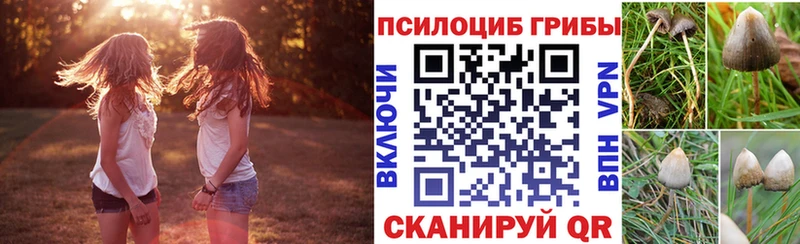 где купить наркотик  блэк спрут ссылка  Галлюциногенные грибы мухоморы  Лесной 